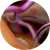Bone remodeling compartments