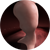 Ossicles