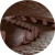 Hair Cells
