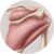 Posterior shoulder girdle